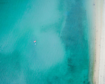 High angle view of person swimming in sea