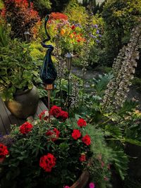 Red flowers in garden