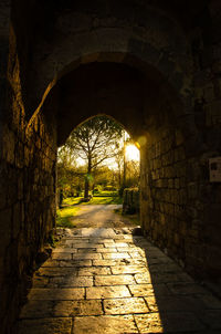 Empty footpath amidst old building