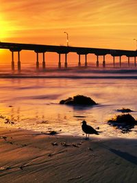Silhouette birds on bridge over river against sky during sunset