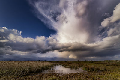 Scenic view of landscape against cloudy sky