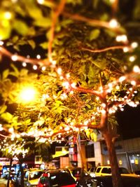 Illuminated christmas tree at night