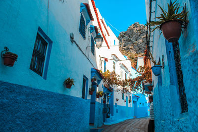 Street amidst houses and buildings in city