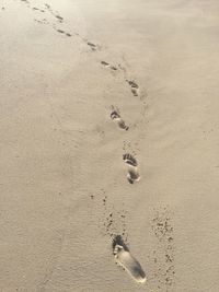 High angle view of footprints on sand at beach