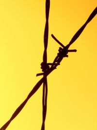 Low angle view of silhouette yellow tree against sky