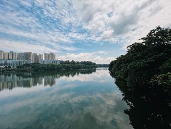 Reflection of trees in water