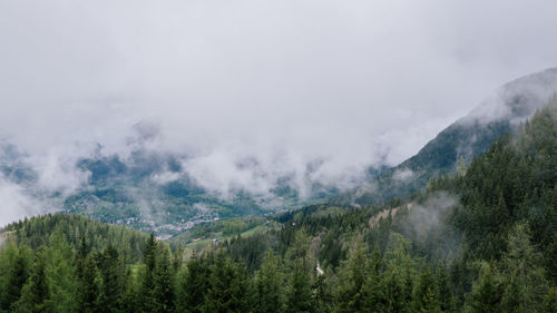 Panoramic view of trees and mountains against sky