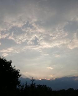 Low angle view of silhouette trees against sky during sunset