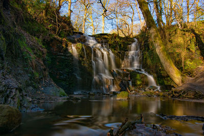 Scenic view of waterfall in forest