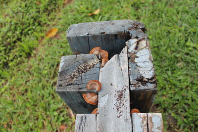 High angle view of old wooden post on field