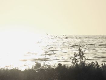 Scenic view of sea against clear sky