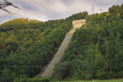 Railroad tracks amidst trees and plants against sky
