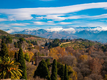 High angle view of trees on landscape against sky