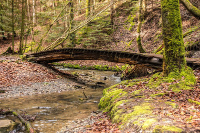 Arch bridge over stream in forest