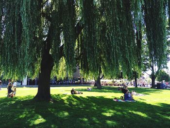 People enjoying summer at park