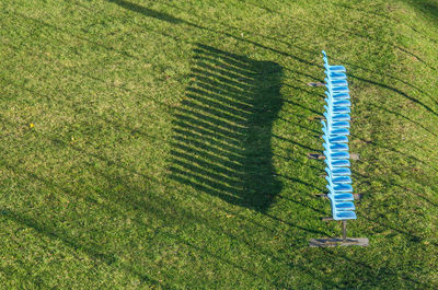 High angle view of green plants on field