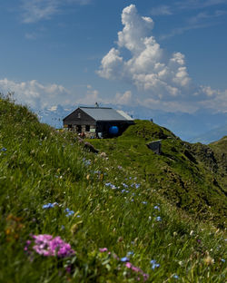 Houses on field against sky