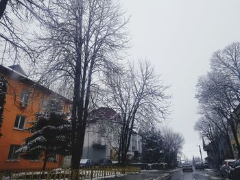 Bare trees in city against clear sky during winter
