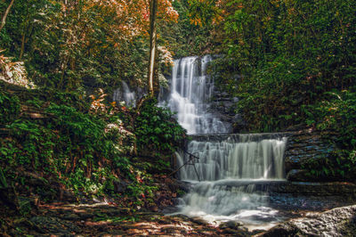 Scenic view of waterfall in forest