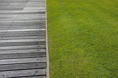 High angle view of wood on field