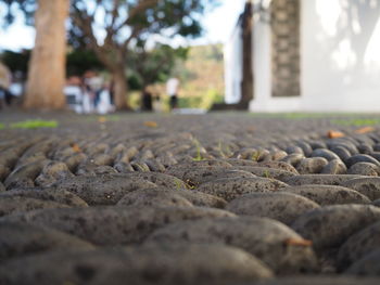 Surface level of stones on footpath