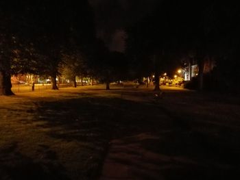 Illuminated park in city at night