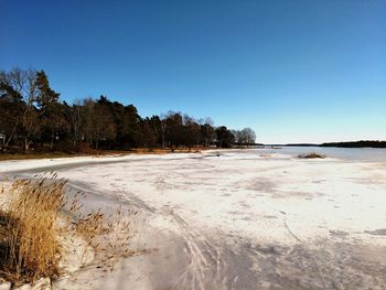 Scenic view of beach against clear sky