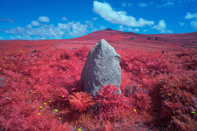View of landscape against cloudy sky