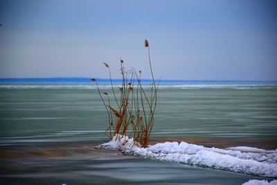 Scenic view of sea against clear sky