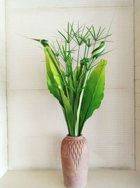 Close-up of vase against wall