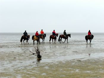 People riding horses on beach against clear sky