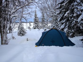 Scenic view of snow covered field
