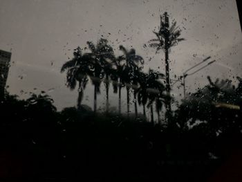Silhouette trees against sky during rainy season