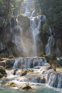 Close-up of waterfall against trees