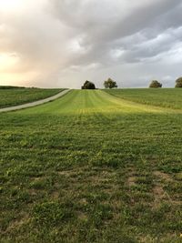 Scenic view of agricultural field against sky