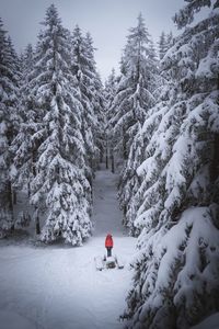 Person skiing on snow covered landscape