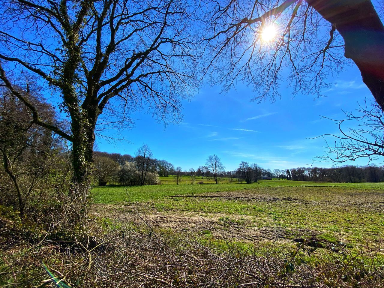 SCENIC VIEW OF LAND AGAINST SKY