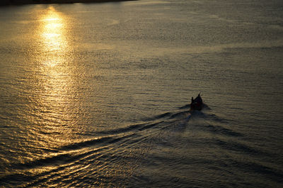 High angle view of person sailing on sea against sky during sunset
