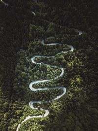 Aerial view of winding road in forest