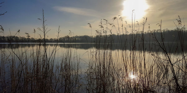 Scenic view of lake at sunset