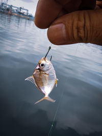 Midsection of person holding fish in lake