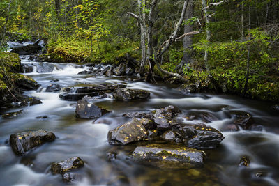 Stream flowing through rocks in forest