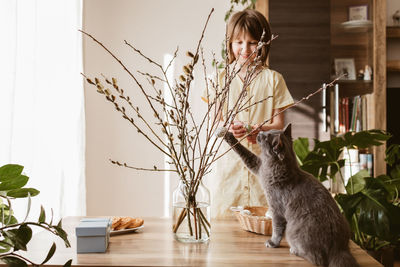 A happy girl hangs easter eggs on a willow bouquet at home with a little kitten. funny pets. 