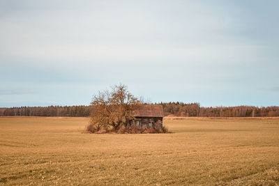 An old barn in a field