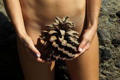 Midsection of naked woman holding pine cone outdoors