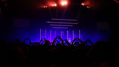 Group of people at concert