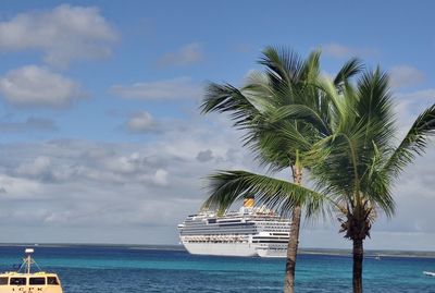 Palm tree by sea against sky