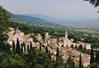 Trees and cityscape against mountains