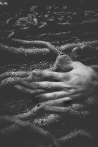Close-up of hand