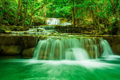 Scenic view of waterfall in forest